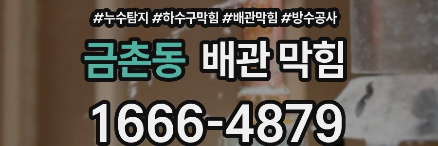 금촌동 배관 막힘