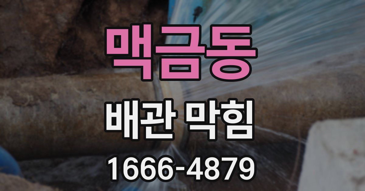 맥금동 배관 막힘