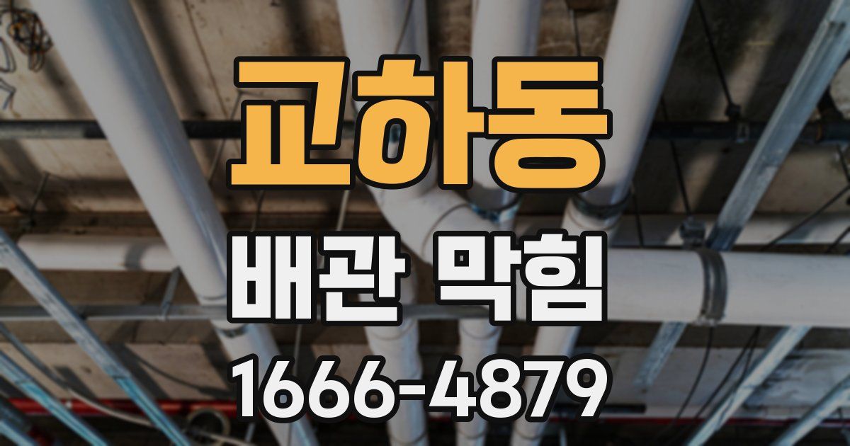 교하동 배관 막힘
