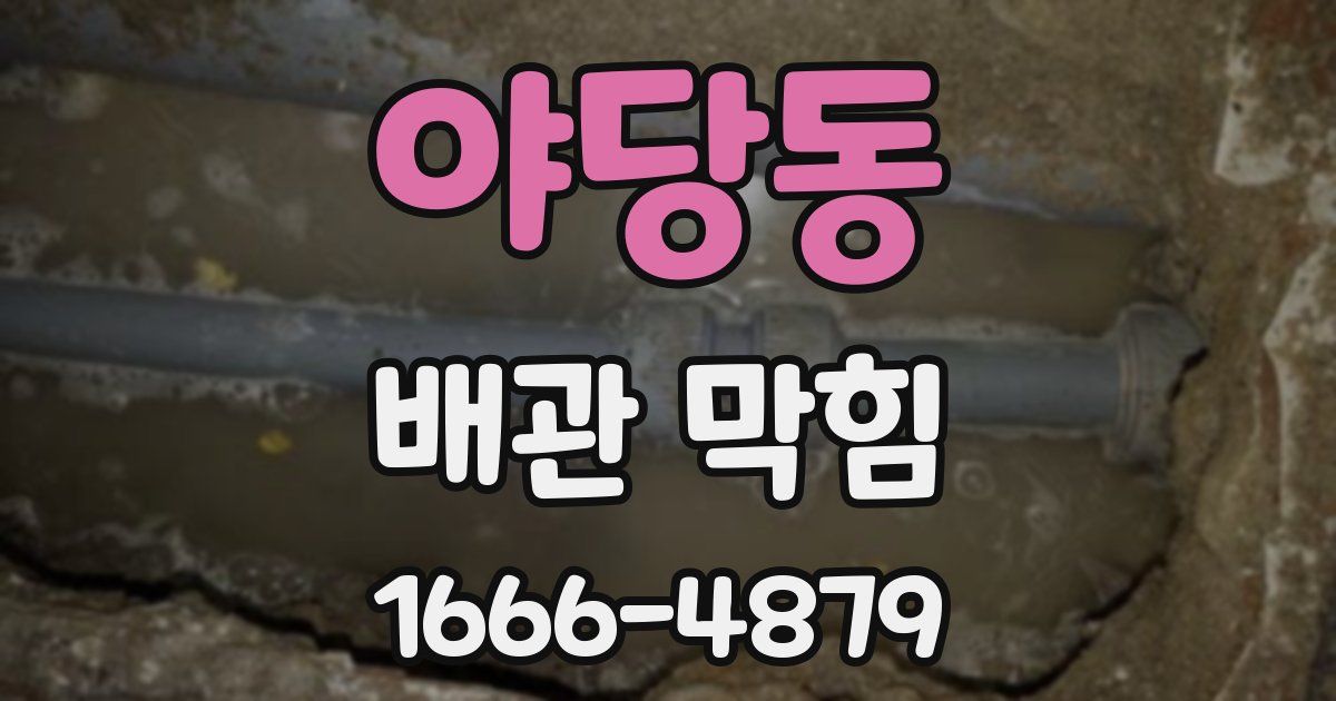 야당동 배관 막힘