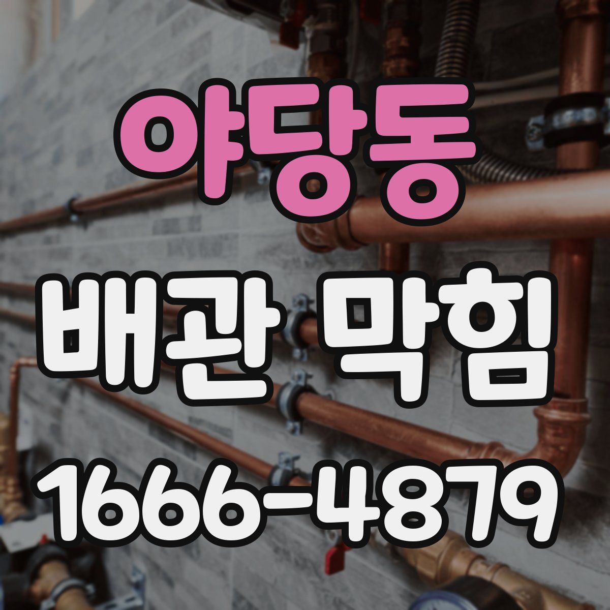 야당동 배관 막힘