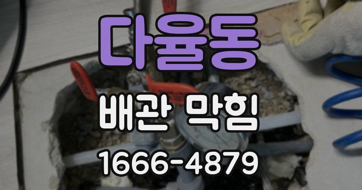 다율동 배관 막힘