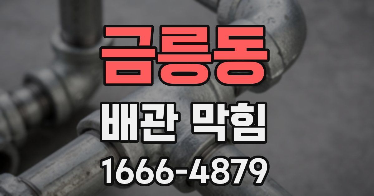 금릉동 배관 막힘