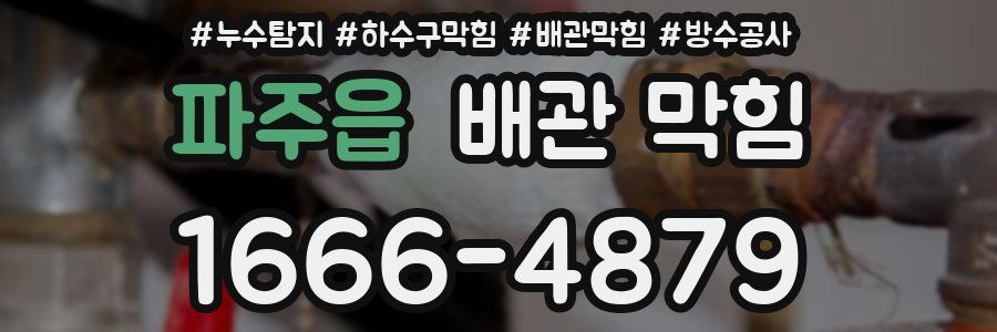 파주읍 배관 막힘