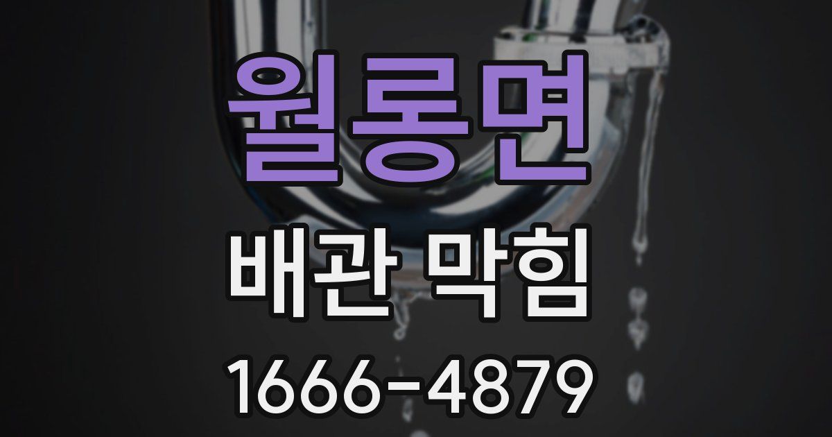 월롱면 배관 막힘