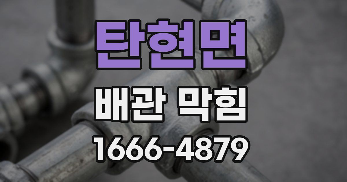 탄현면 배관 막힘
