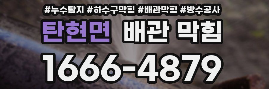 탄현면 배관 막힘