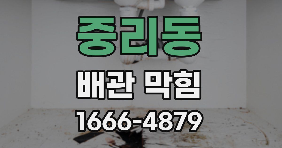 중리동 배관 막힘