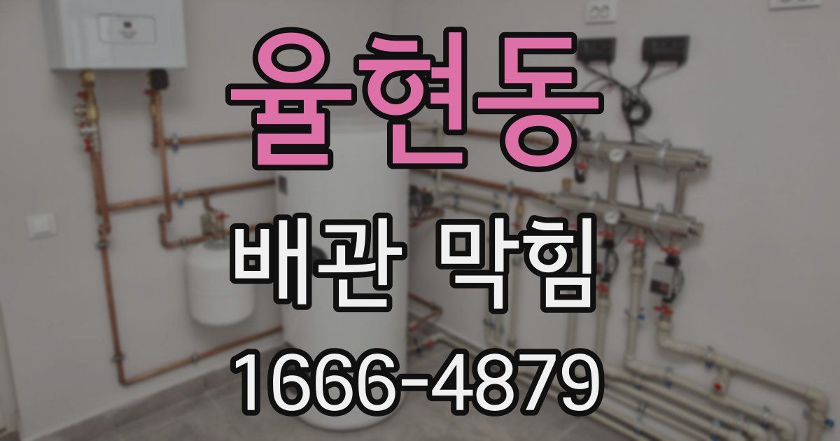 율현동 배관 막힘