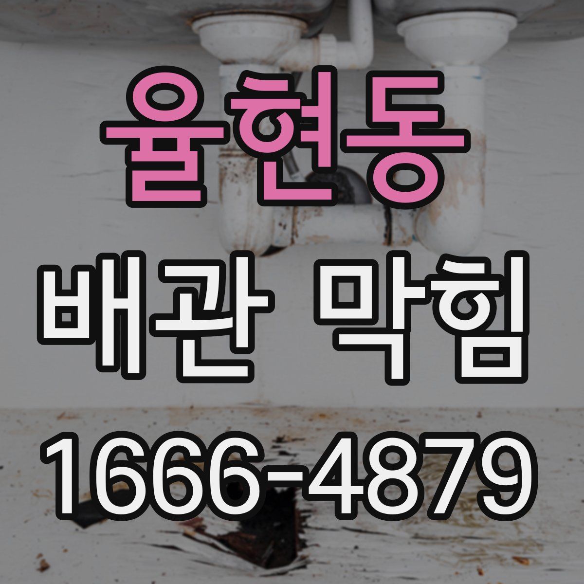 율현동 배관 막힘
