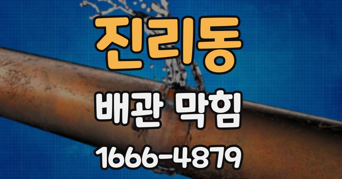 진리동 배관 막힘