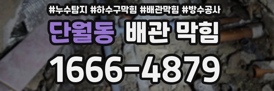 단월동 배관 막힘