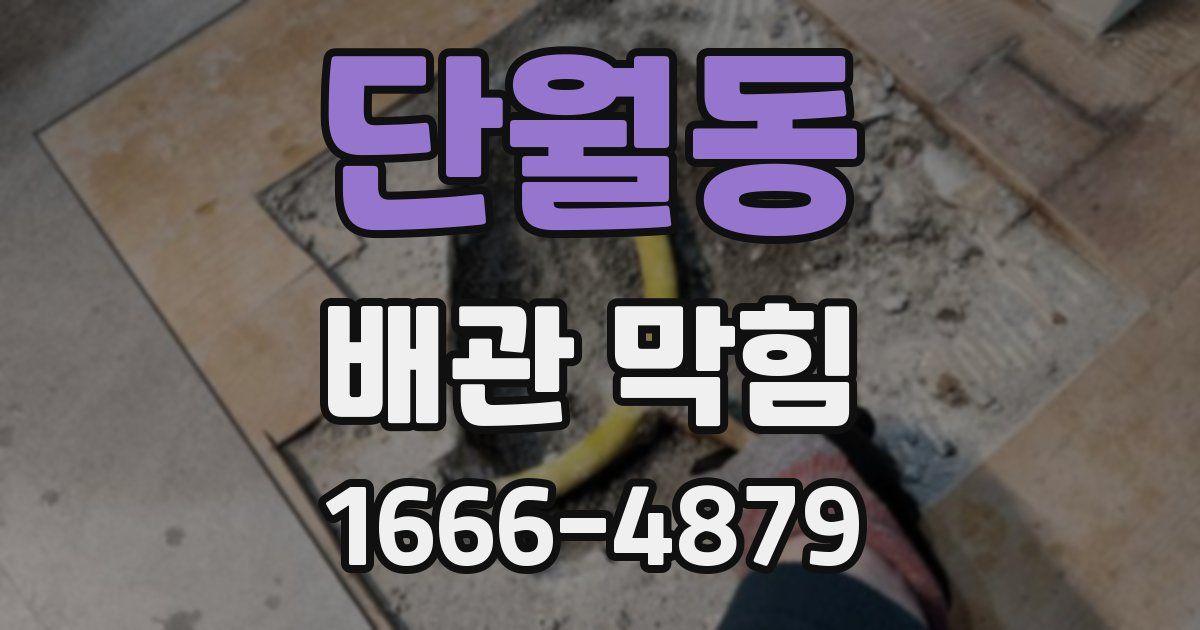 단월동 배관 막힘