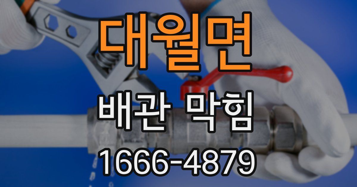 대월면 배관 막힘