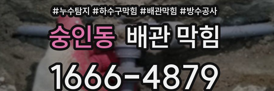 숭인동 배관 막힘