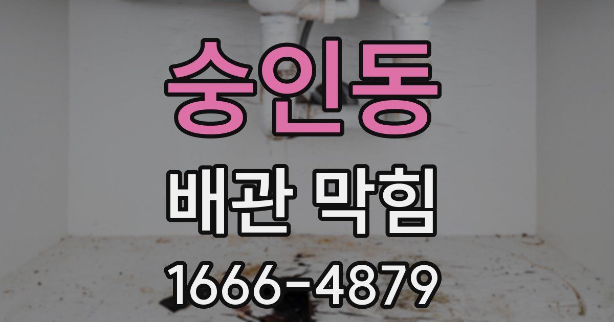 숭인동 배관 막힘
