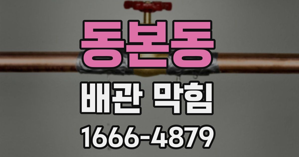 동본동 배관 막힘