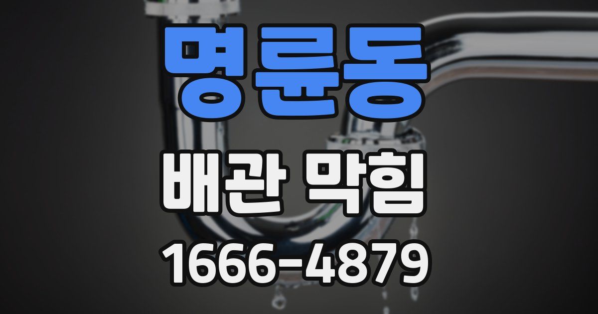 명륜동 배관 막힘