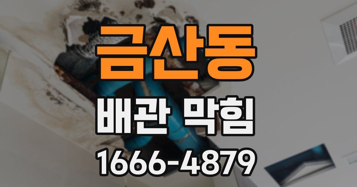 금산동 배관 막힘