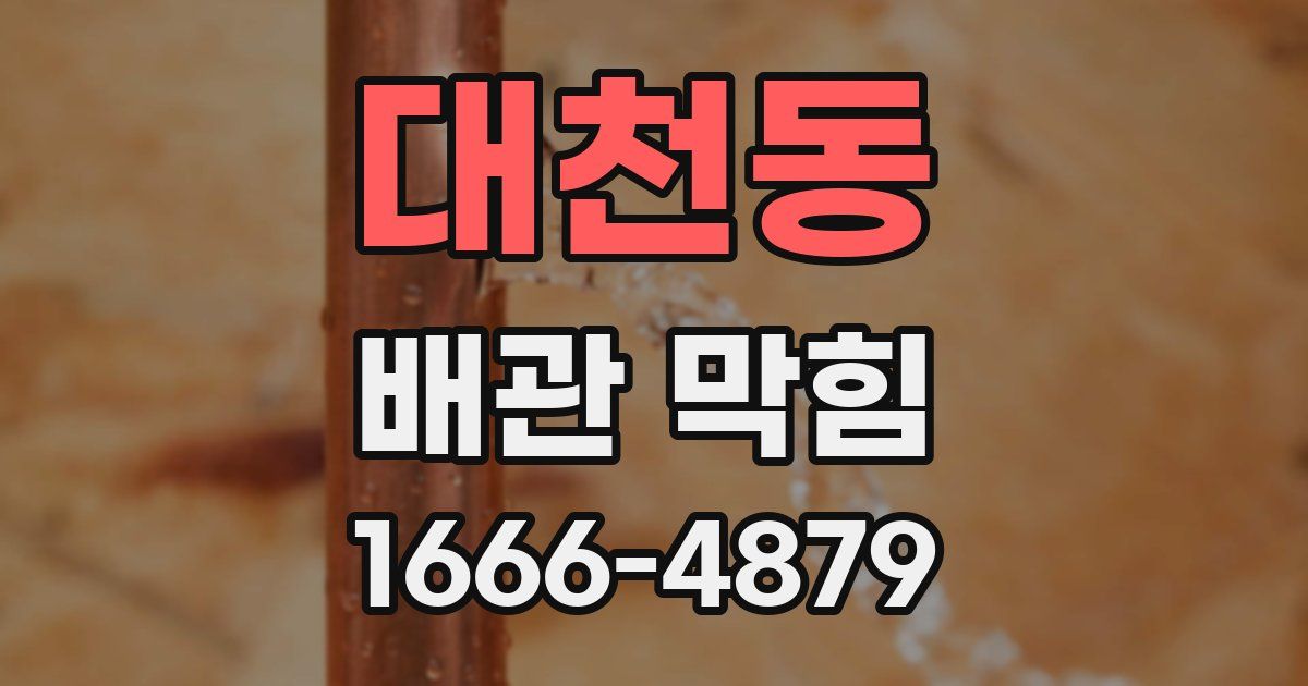 대천동 배관 막힘