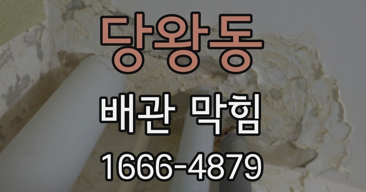 당왕동 배관 막힘