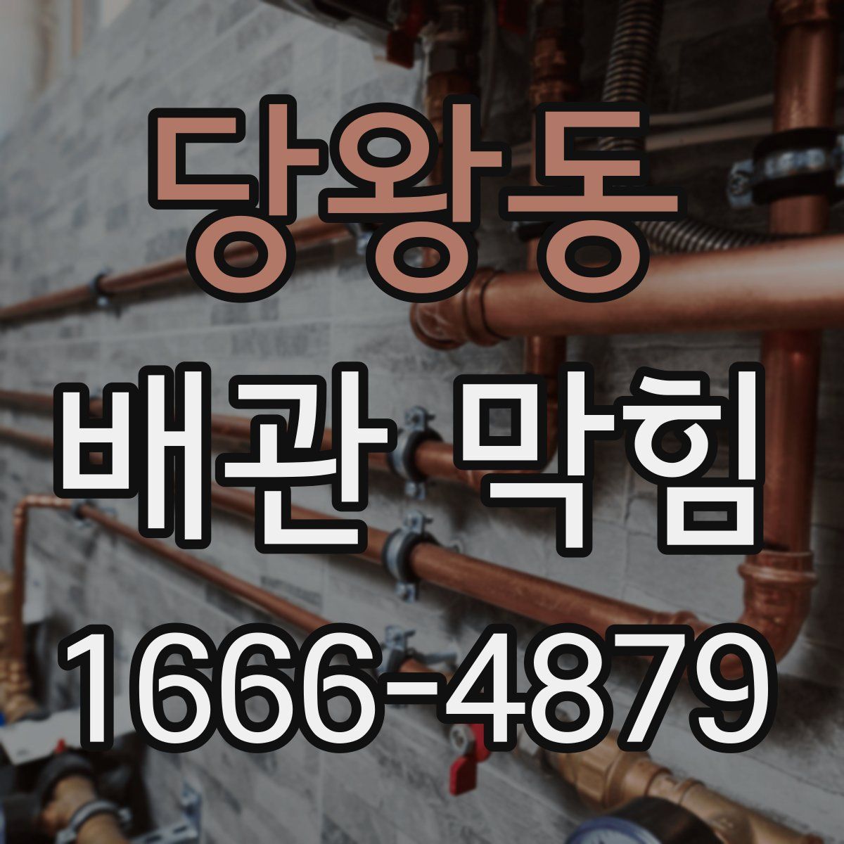 당왕동 배관 막힘