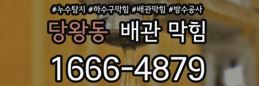 당왕동 배관 막힘