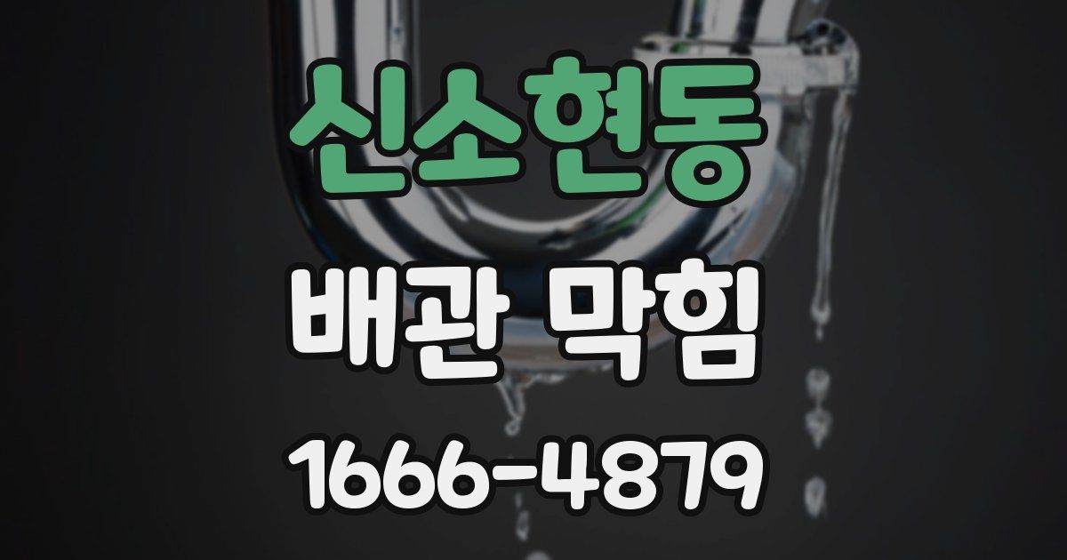 신소현동 배관 막힘