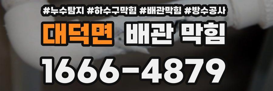 대덕면 배관 막힘