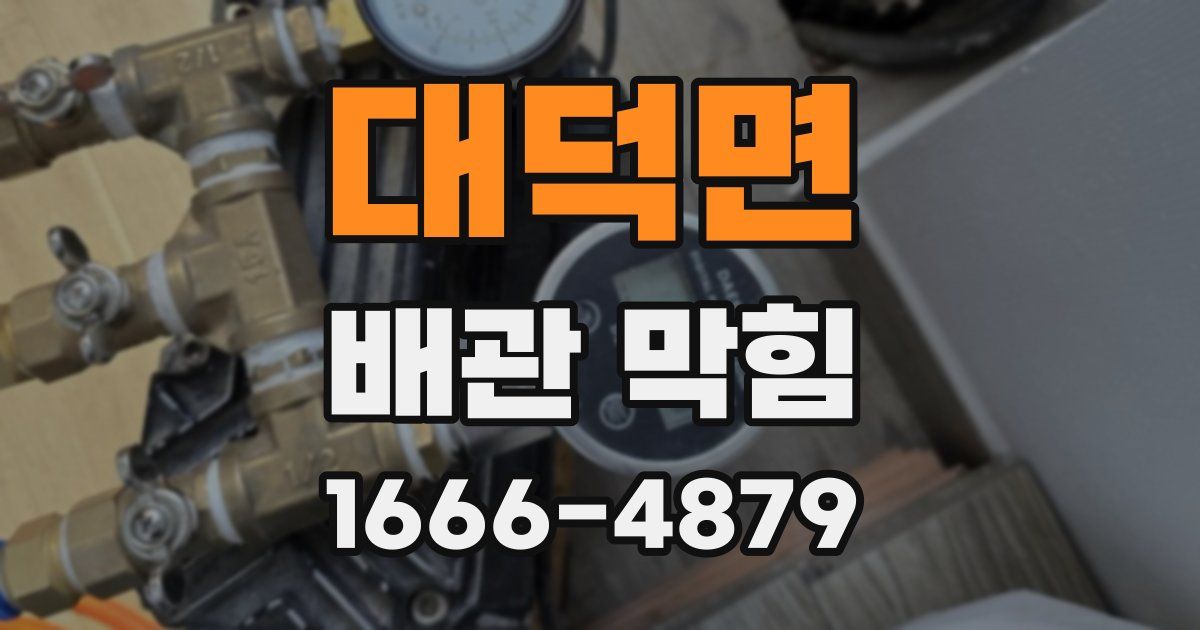대덕면 배관 막힘