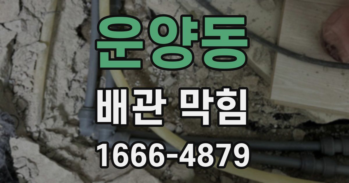 운양동 배관 막힘