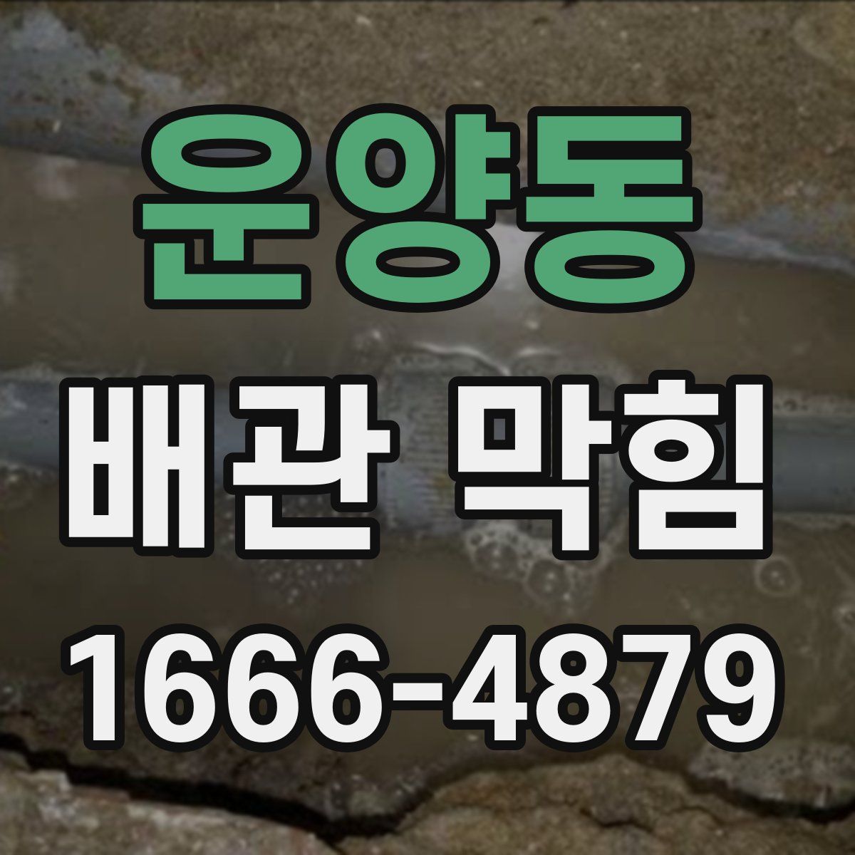 운양동 배관 막힘
