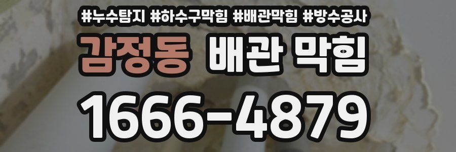 감정동 배관 막힘