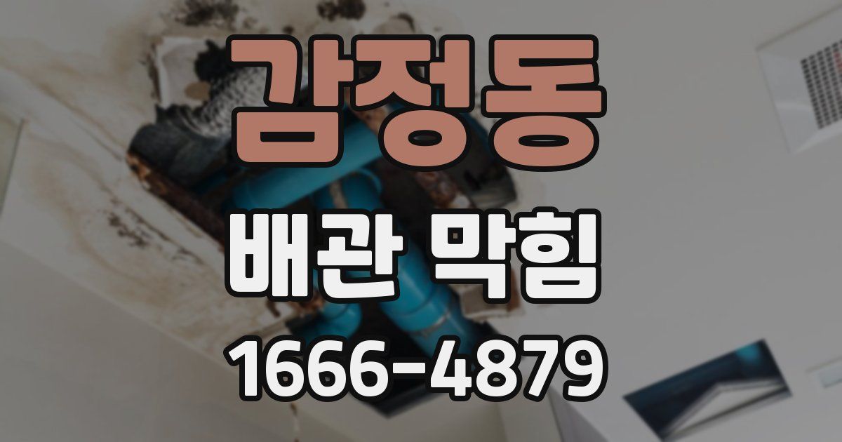 감정동 배관 막힘