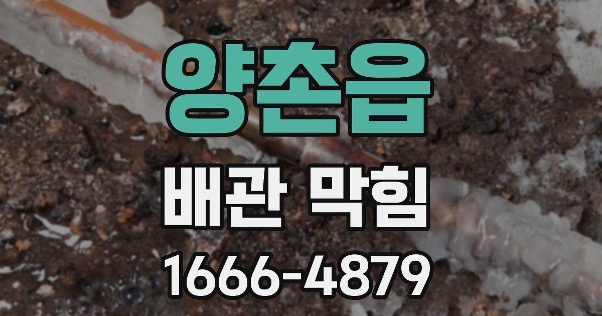 양촌읍 배관 막힘