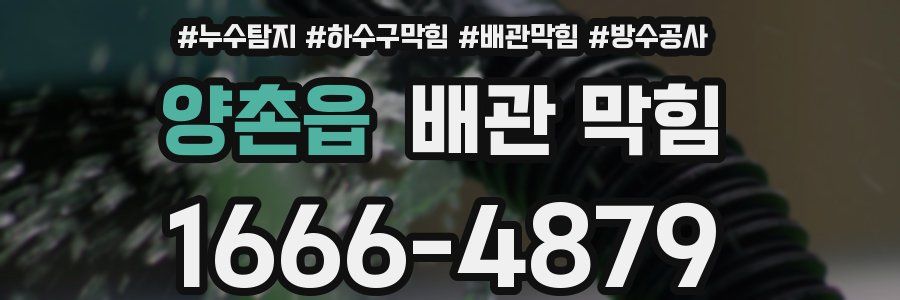 양촌읍 배관 막힘