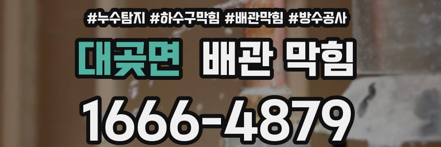 대곶면 배관 막힘