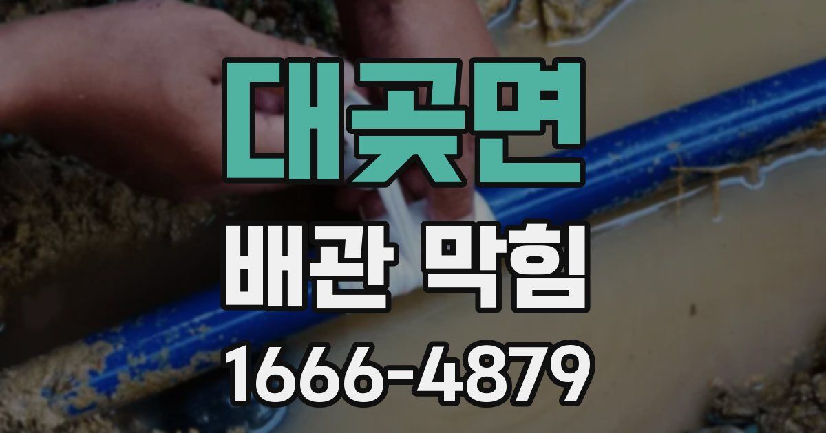 대곶면 배관 막힘