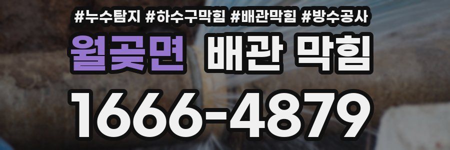 월곶면 배관 막힘