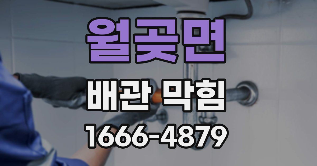 월곶면 배관 막힘