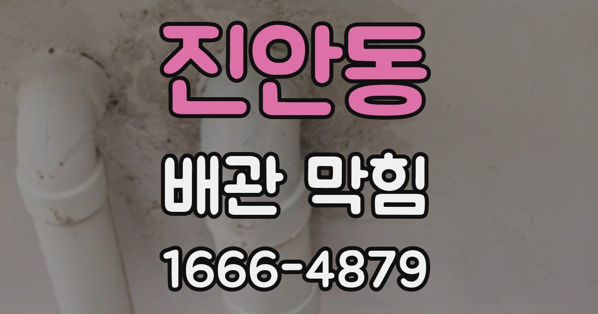 진안동 배관 막힘