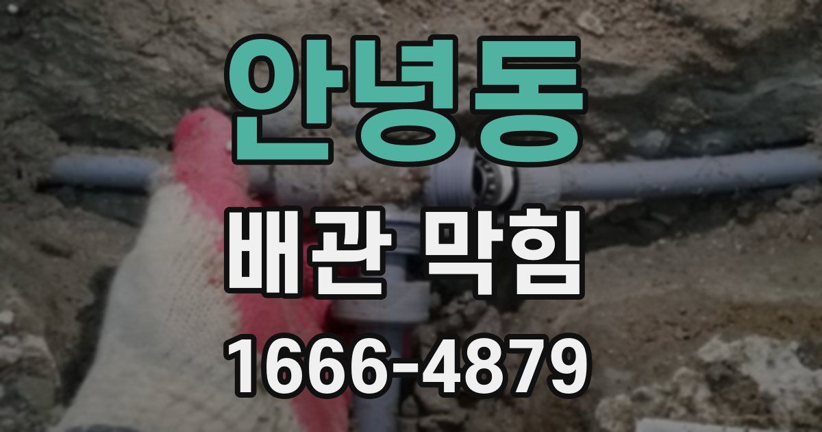 안녕동 배관 막힘