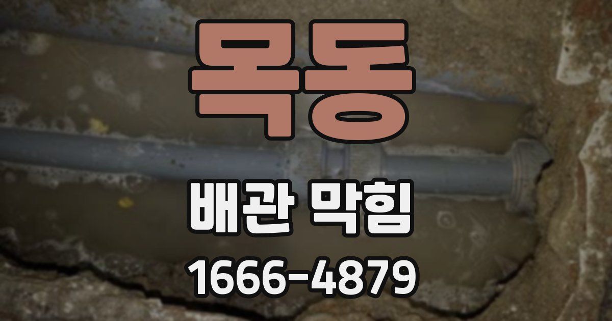 목동 배관 막힘