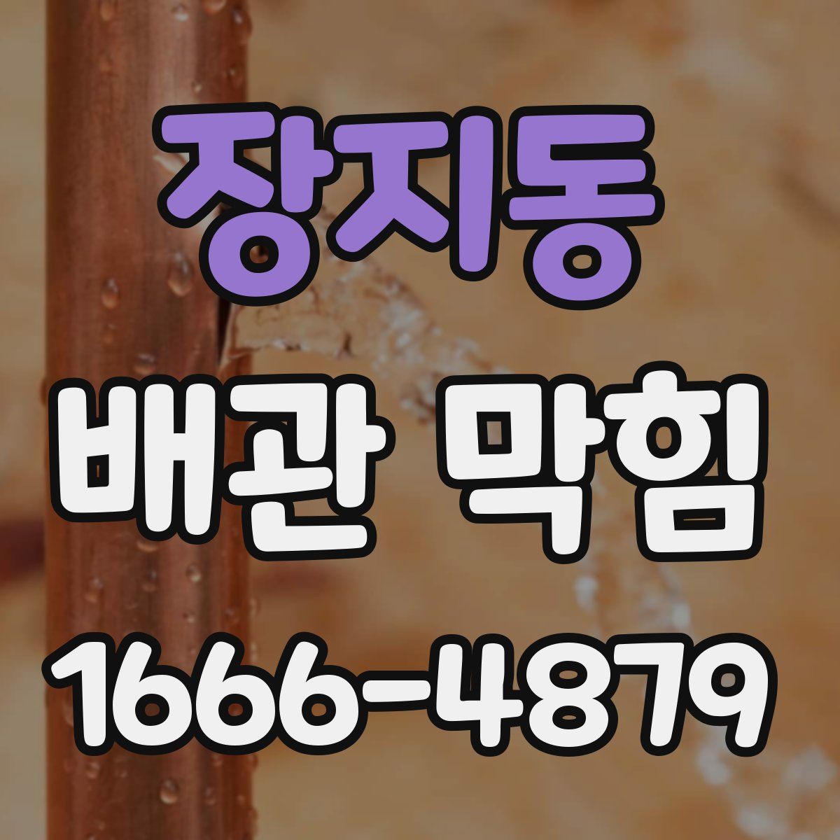 장지동 배관 막힘
