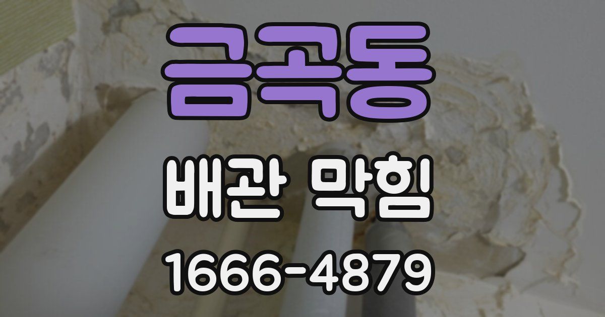 금곡동 배관 막힘