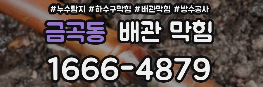 금곡동 배관 막힘