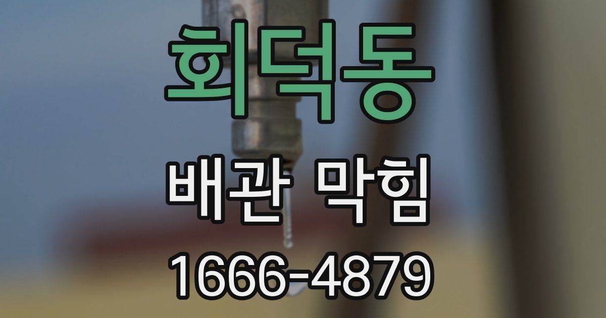 회덕동 배관 막힘