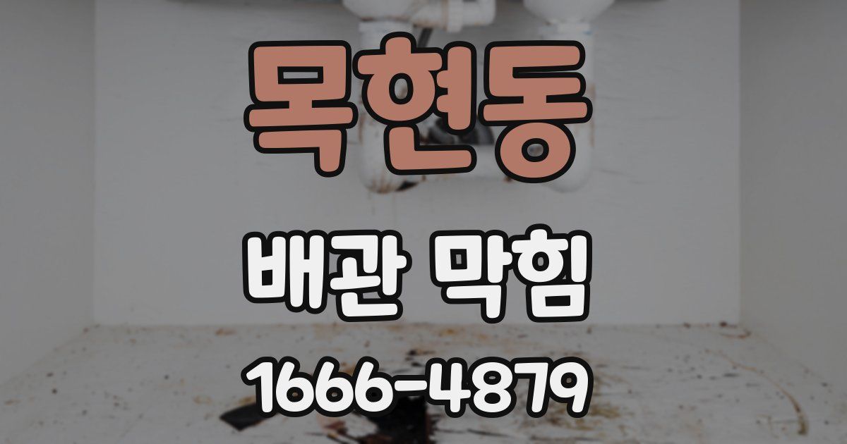 목현동 배관 막힘