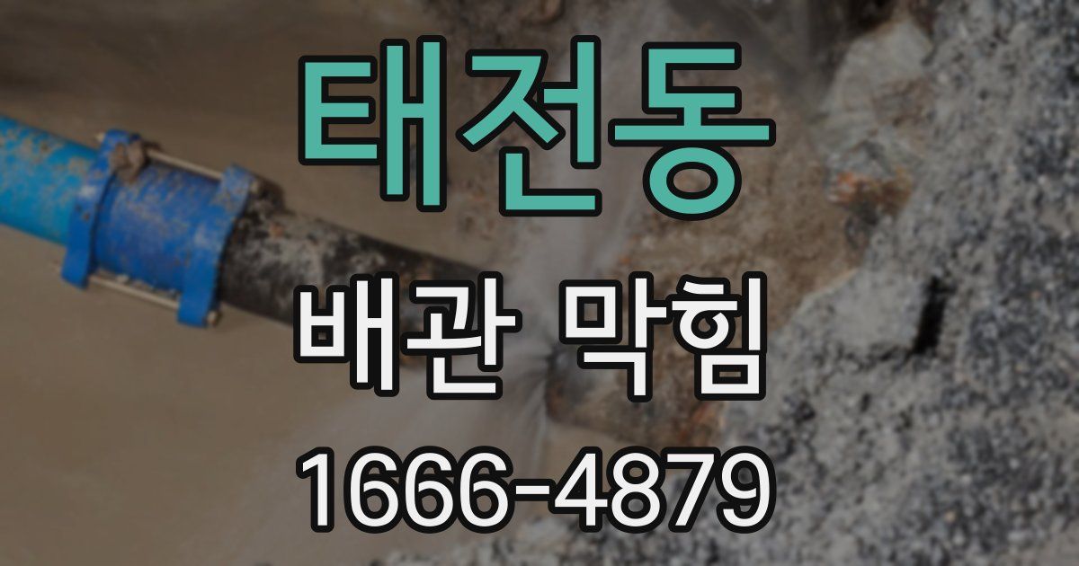 태전동 배관 막힘