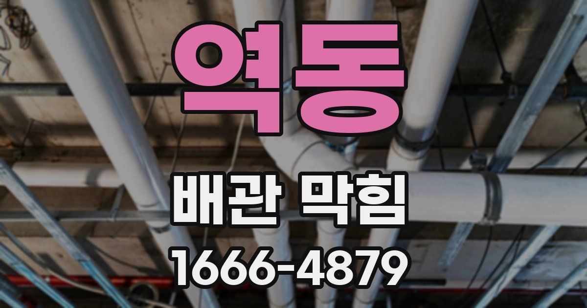 역동 배관 막힘
